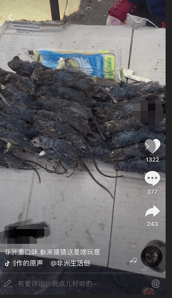 感謝抖音APP讓我越來越愛自己的祖國(guó)【中國(guó)】